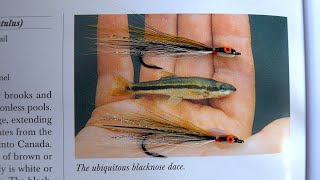 Tying a Blacknose Dace Fry Pattern with Davie McPhail [upl. by Alyss]