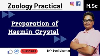 Haemin Crystal preparation of fish and human  Zoology practical  UG and PG [upl. by Ynottirb979]