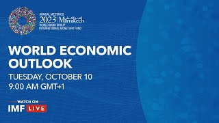 Press Briefing World Economic Outlook October 2023 [upl. by Houlberg617]