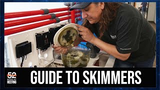 The Science of Protein Skimmers How Why and When  52SE [upl. by Inahs]