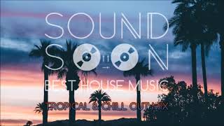 MUSICA DA APERITIVO RELAX 2020 TROPICAL HOUSE 🌴 Dua Lipa Martin Garrix Kygo Sia Style 🌴 Chill Out [upl. by Ahrens]