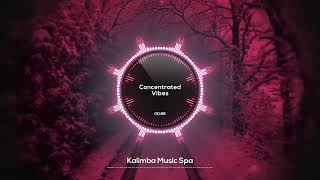 🌸 Concentrated Vibes 🌸  Kalimba Music Spa  Soulful Kalimba for Calm Work Sessions [upl. by Salohcim958]