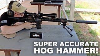 Super Accurate Hog Hammer Wilson Combat 300 HAMR [upl. by Notnad191]