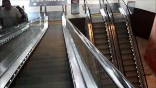 HUGE Schindler 9300 escalators at the Revel Ellipse Atrium [upl. by Aiselad]