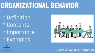 What is Organizational Behavior With Real World Examples  From A Business Professor [upl. by Aivin]