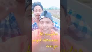 Yah rangdar pagali man mein nahange [upl. by Eiramlirpa]