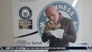 Tartufi stagione al via con un bianco da record [upl. by Mylander]