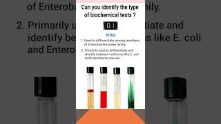 Quiz10  Biochemical test for identification of bacteria  shorts microbiology [upl. by Geno]