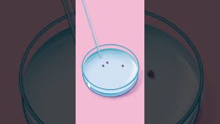 How Does IVF Work [upl. by Utley492]