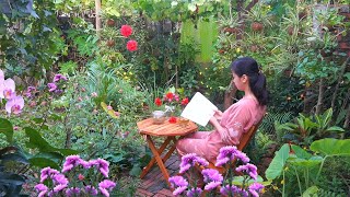 Harvesting Sophora Japonica Flower and make Herbal Tea Enjoy Life  Han Channel [upl. by Anaitsirc868]