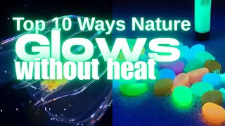 Luminescence 10 Ways Nature Glows [upl. by Arlynne]