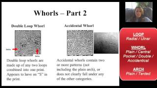 Fingerprint Video Lecture 1903 [upl. by Emlynn330]