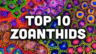 Top 10 Zoanthids from TSA [upl. by Cecelia]