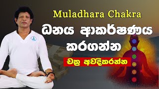 Quick 7 Chakra Cleansing 3 Minutes Per ChakraSeed Mantra Chanting MeditationYogaChamin Warnakula [upl. by Leuqar]