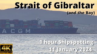 1 Hour Nice Ship Movements Strait of Gibraltar 11 Jan 2024 [upl. by Ailil]