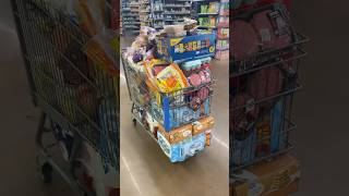 Insane Walmart Spark Order 🤣 fooddelivery gigeconomy walmart walmarthaul [upl. by Llirret]