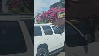 Shops at Haleiwa Hawaii hawaii haleiwa driving travel [upl. by Eelreveb287]