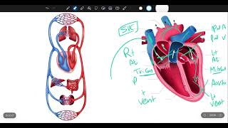 Symptomatology in Pediatrics [upl. by Siraved]