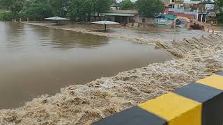 श्योपुर बंजारा डेम का खूबसूरत नज़ारा  Sheopur banjara dam overflow [upl. by Simaj452]