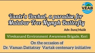 Vantes Dovhal A paradise for Malabar Tree Nymph Butterfly  Adv Suraj Malik  VEAB Goa [upl. by Wearing401]