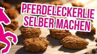 DIY Pferdeleckerlie selber backen  Rezept  Anleitung [upl. by Morven678]