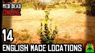 Red Dead Redemption 2 ONLINE  ENGLISH MACE LOCATIONS [upl. by Dwane]