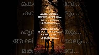 Makane vazha songyoutubeshorts trendingonshortsvazhasonglyrics [upl. by Okiam87]