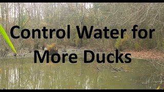 Build a Waterfowl Impoundment Easily and Cheaply WITHOUT a flashboard riser [upl. by Salome138]