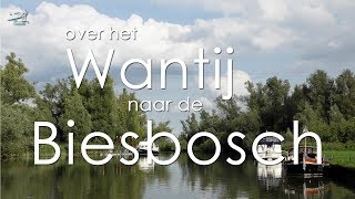 Over het Wantij naar de Biesbosch  De Canicula [upl. by Joost863]