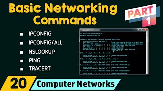 Basic Networking Commands Part 1 [upl. by Nonrev58]