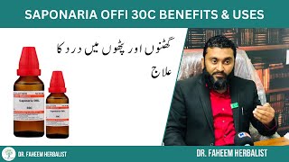 Saponaria Offi 30C BENEFITS amp USES  Dr Fahim Herbalist [upl. by Pruter]