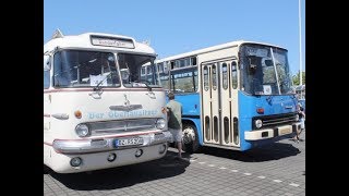 AKTUELL  IKARUSBUSTREFFEN IN DEUTSCHLAND  TAG DER OFFENEN TÜR COTTBUSVERKEHR AM 18MAI [upl. by Suryc17]