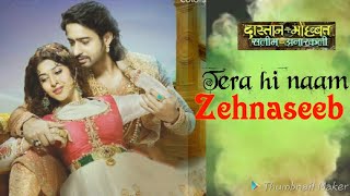 ZehnaseebFull Song  Dastaan E Mohabbat  Salim Anarkali [upl. by Ludly]