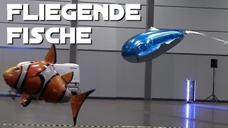 RC Fliegende Fische  Clownfisch amp Rochen ModellHobbySpiel Leipzig 2016 Indoor  flying fishes [upl. by Lohner409]