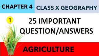 263  QAs Class10 GEOGRAPHY chapter 4  AGRICULTURE QAs  Sst Class 10 CHAPTER 4 QAs 1 [upl. by Ssepmet]