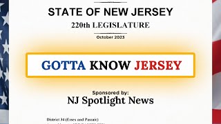 From a bill to the governors desk heres how laws are made in NJ  Gotta Know Jersey [upl. by Syah86]