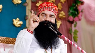 Saint Dr MSG New Satsang 20Feb2024  motivation satsang derasachasauda saintdrmsg [upl. by Isaac]