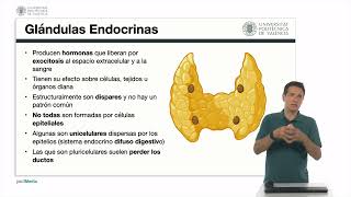 Epitelio glandular generalidades Gándulas endocrinas y exocrinas  4460  UPV [upl. by Zacek926]