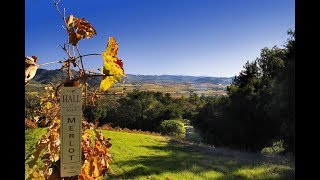 Develop Your Wine Country Dream in Geyserville California  Sothebys International Realty [upl. by Nosecyrb146]