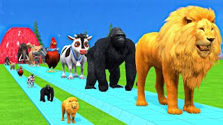 Paint amp Animals CowGorillaElephantGiraffeTigerLion Fountain Crossing Transformation Cartoon [upl. by Veleda]