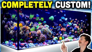 800 Gallon Custom Reef Tank Tour FULLY LOADED with Fish and Corals [upl. by Amitak538]