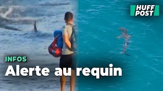 Un requin a semé la terreur sur ces plages des Canaries [upl. by Ballou969]