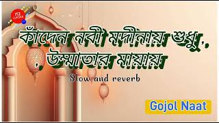 Kandan Nabi Modi naiSlowed Reverb Lofi  Bangla New Gojol 2024 [upl. by Kragh]