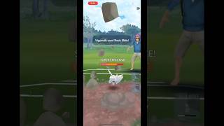 Togetic outpaces the competition 🏃🏻 pokemongo pokemon shorts pokefans pokemongopvp [upl. by Notyad]