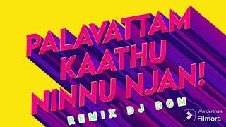 Palavattam Kathu Ninnu Njan Remix  DJ DOM  Coffeemgroad  Vineeth Sreenivasan  Salim Kumar [upl. by Fabyola]