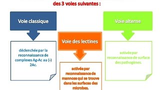 le système du complément explication pas plus simple partie 1 [upl. by Coleville]