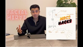 Facial Nerve  The 7th Cranial Nerve VII  MRCS Hacks [upl. by Amaris]