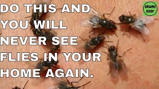 Simple and easy ways to Keep House Flies Away from your home [upl. by Ykcin]