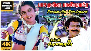 Pasamulla Pandiyare 4K HD Video Song  Captain Prabhakaran Movie Songs  Vijayakanth  Ilaiyaraaja [upl. by Pardoes16]