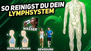 10 Tipps zur Reinigung des Lymphsystems [upl. by Nylle]